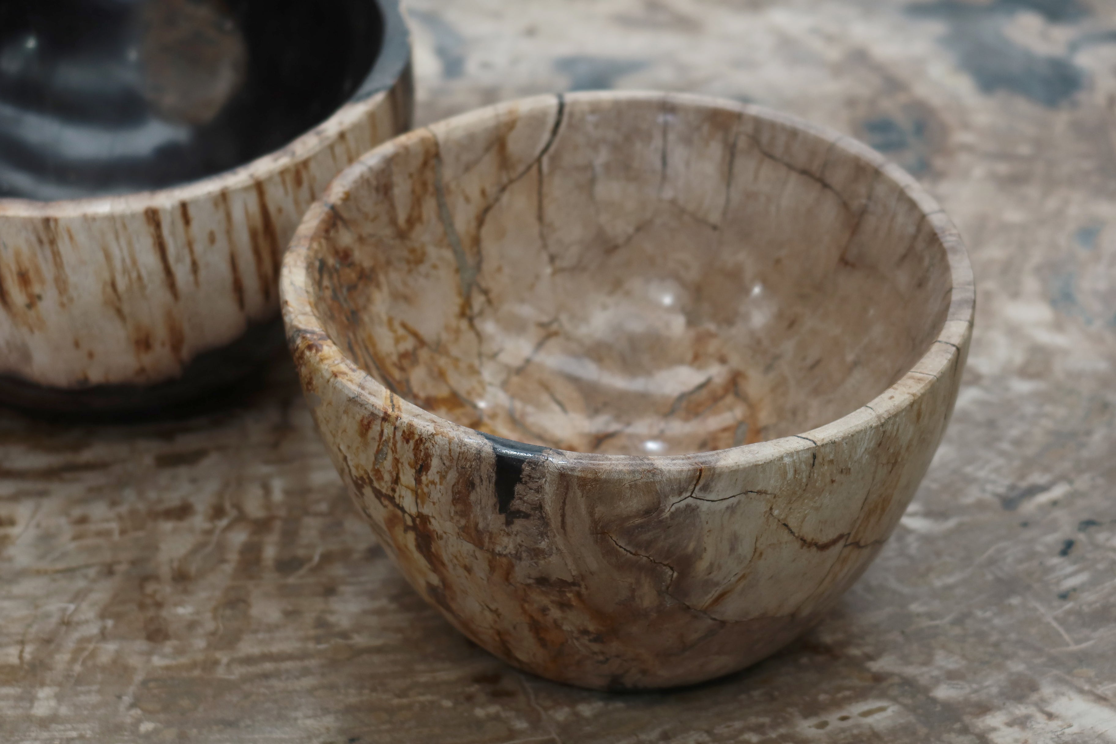 Petrified Wood Bowl