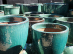 Glazed Green