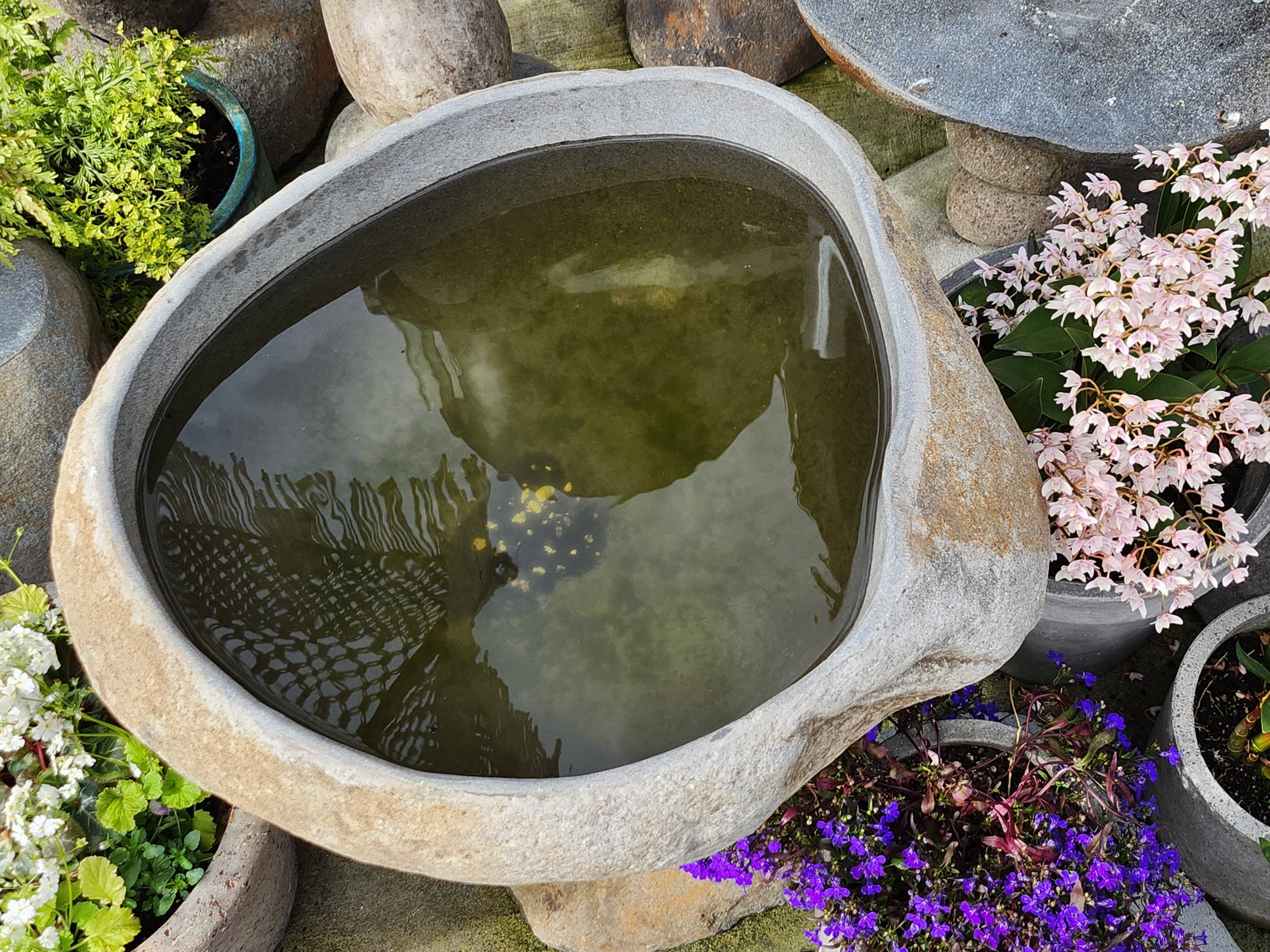 Organic Stone Basin