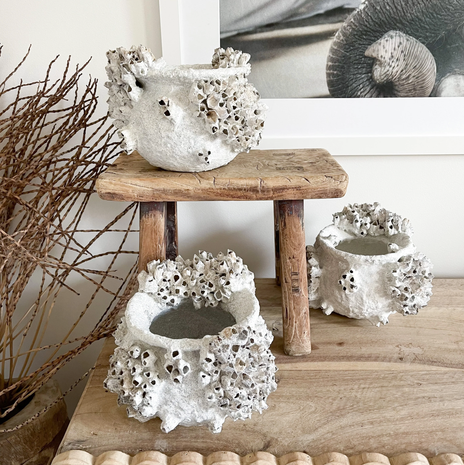 Barnacle Pot Extra Small