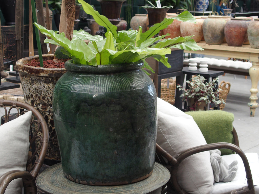 Jar Green Glazed Medium