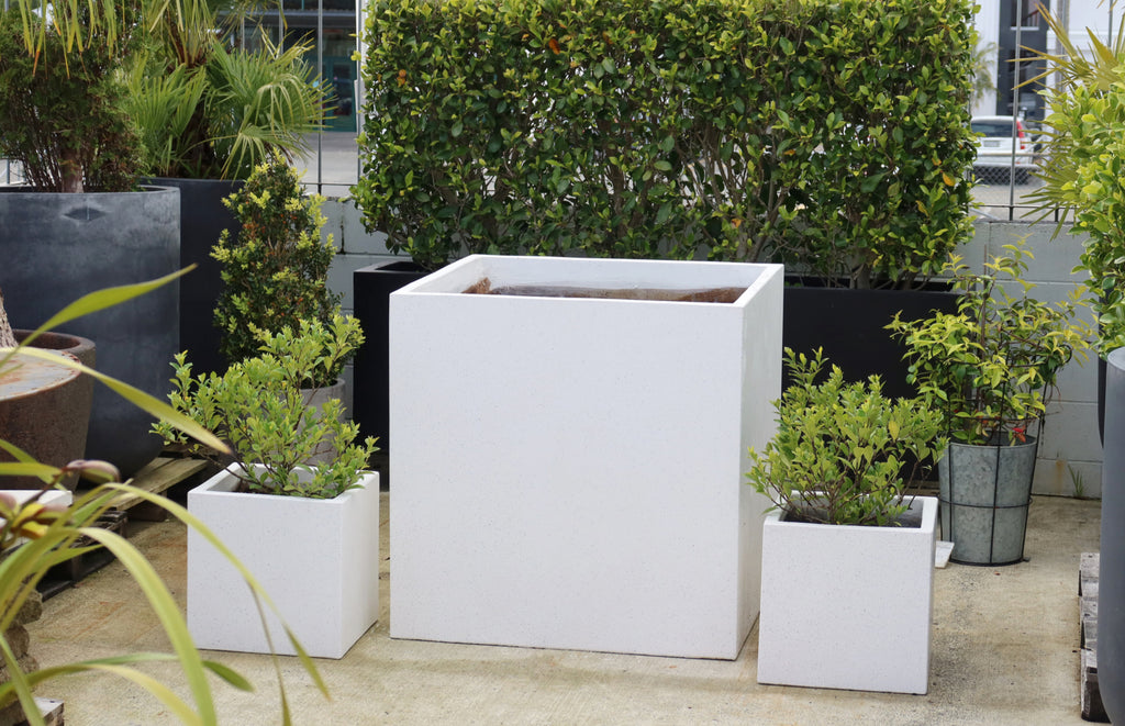 Square Terrazzo