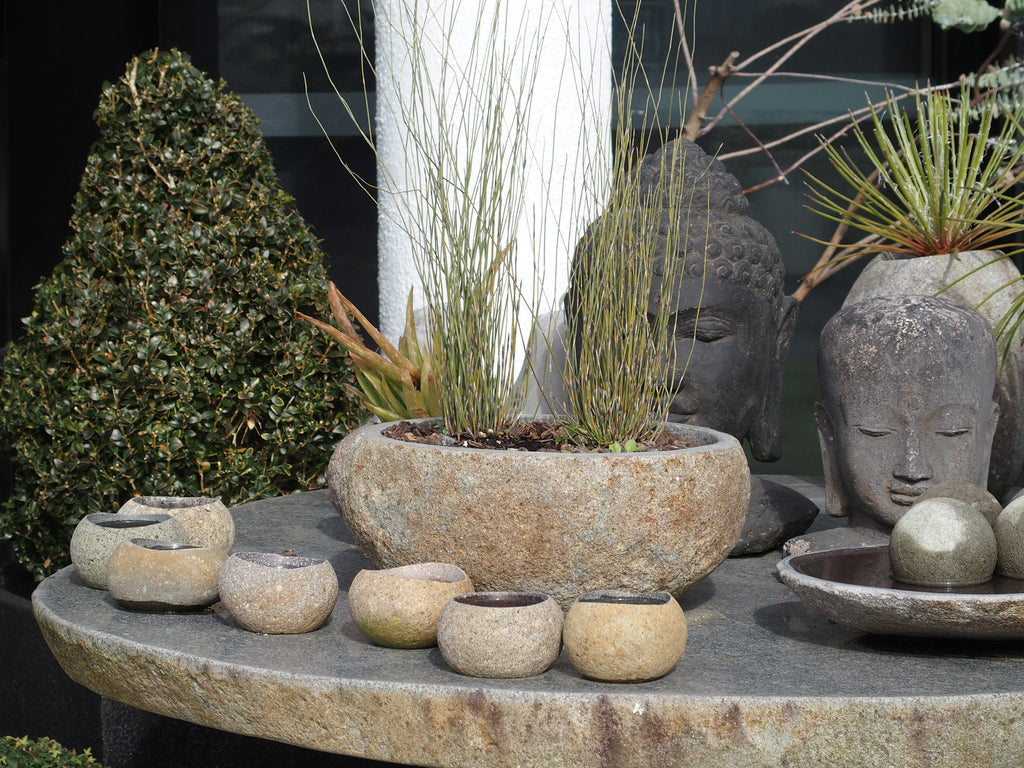 Organic Stone Pot Small