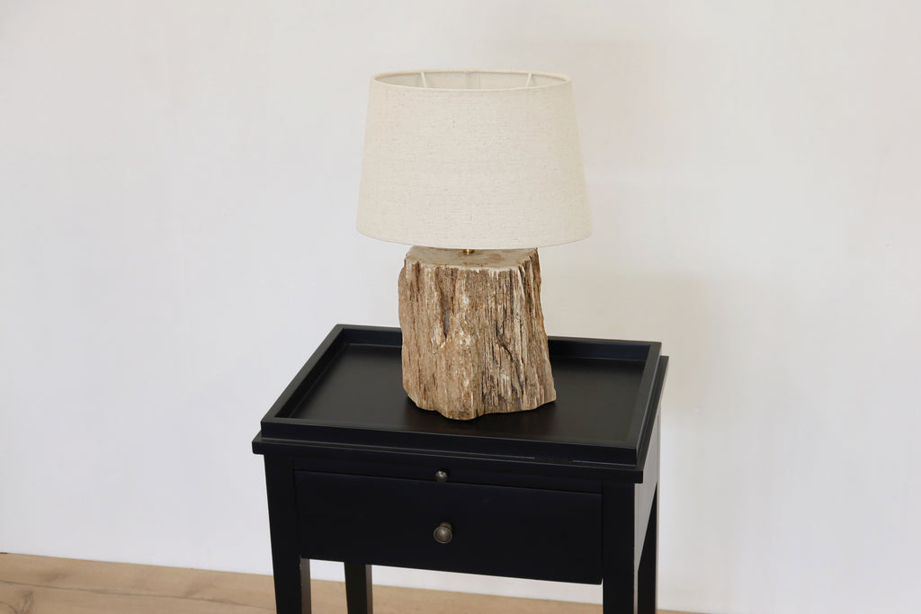 Petrified Wood Lamp Base & Shade