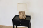 Petrified Wood Lamp Base & Shade