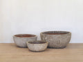 Atlantis Glaze Pot Coral White Bowl