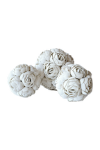 Shell Circle Rose/Flower