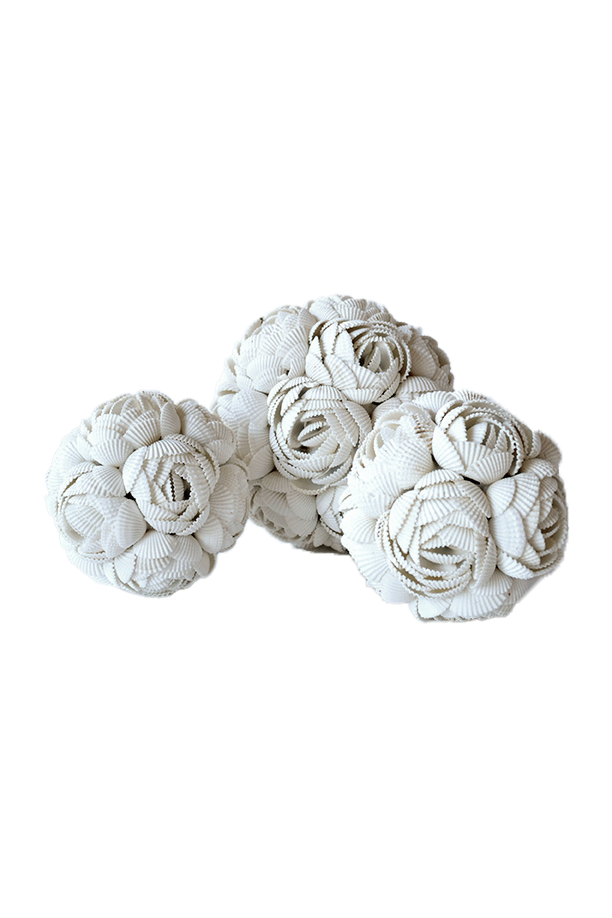 Shell Circle Rose/Flower
