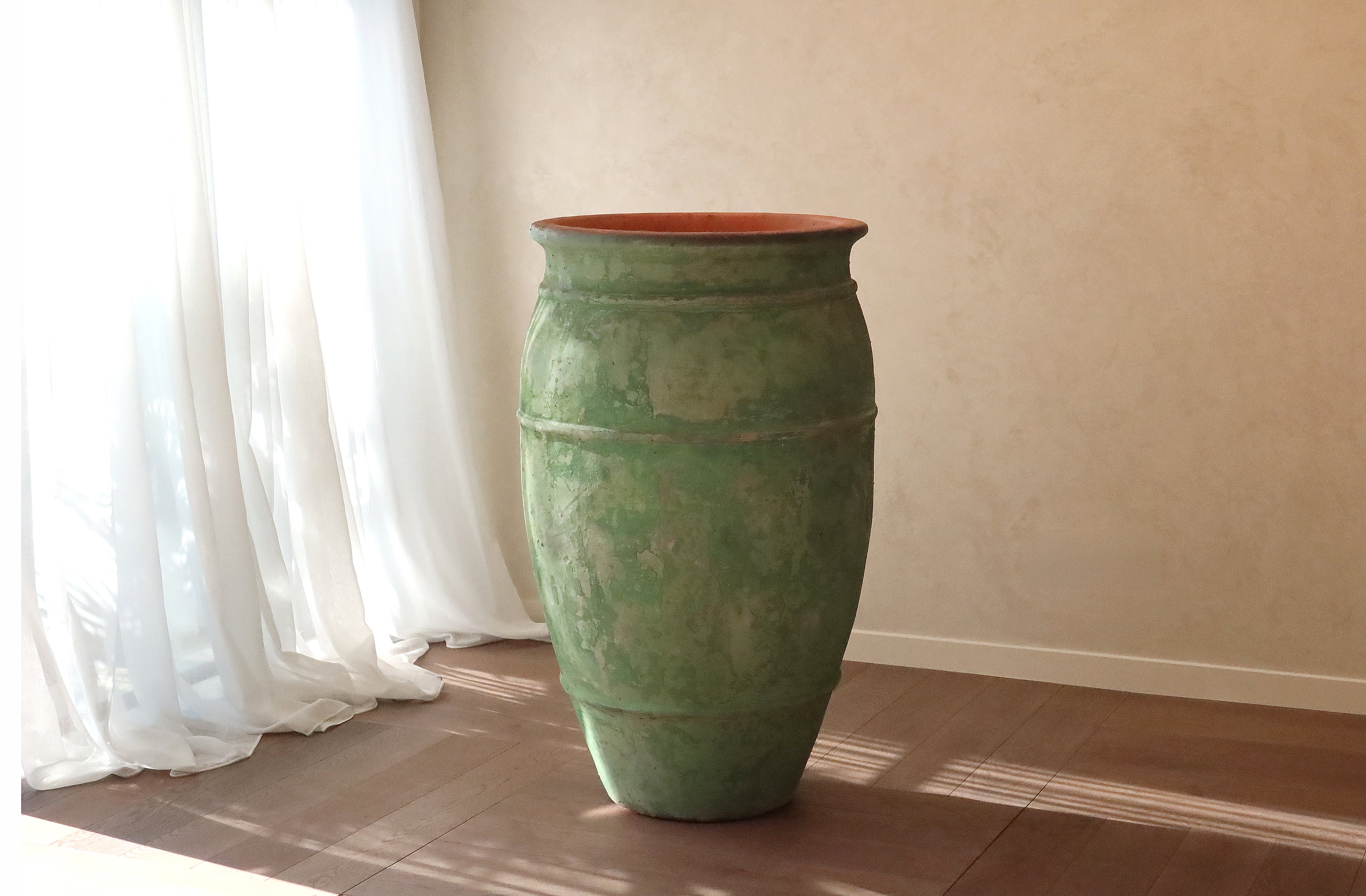Pot Paua