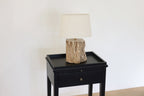 Petrified Wood Lamp Base & Shade