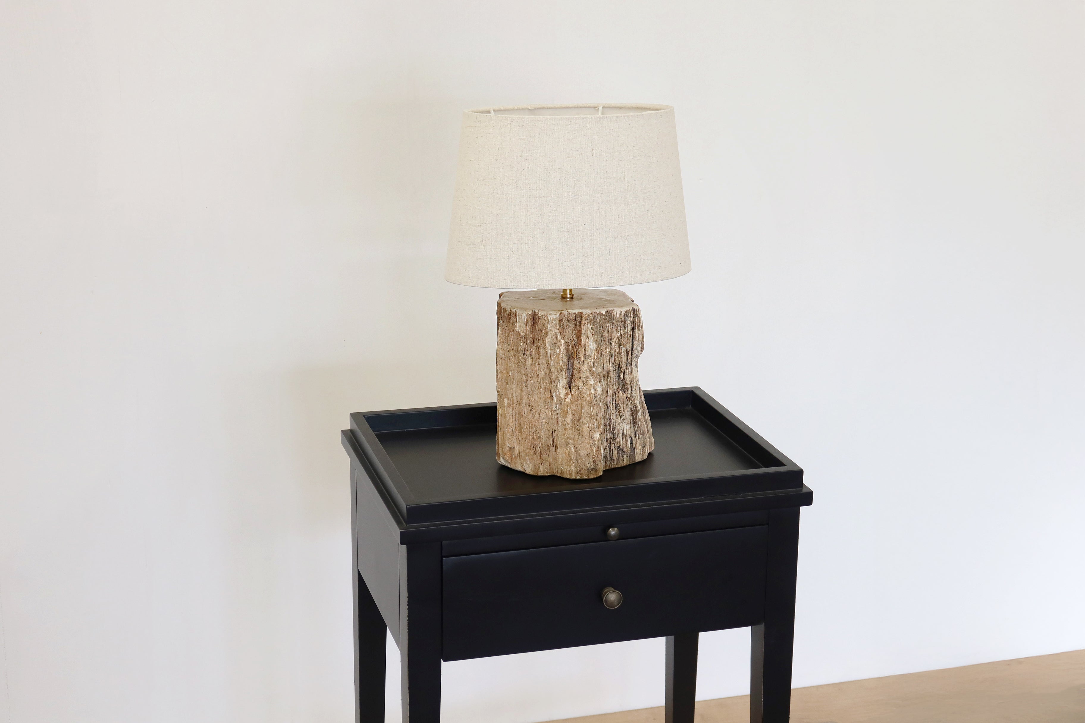 Petrified Wood Lamp Base & Shade