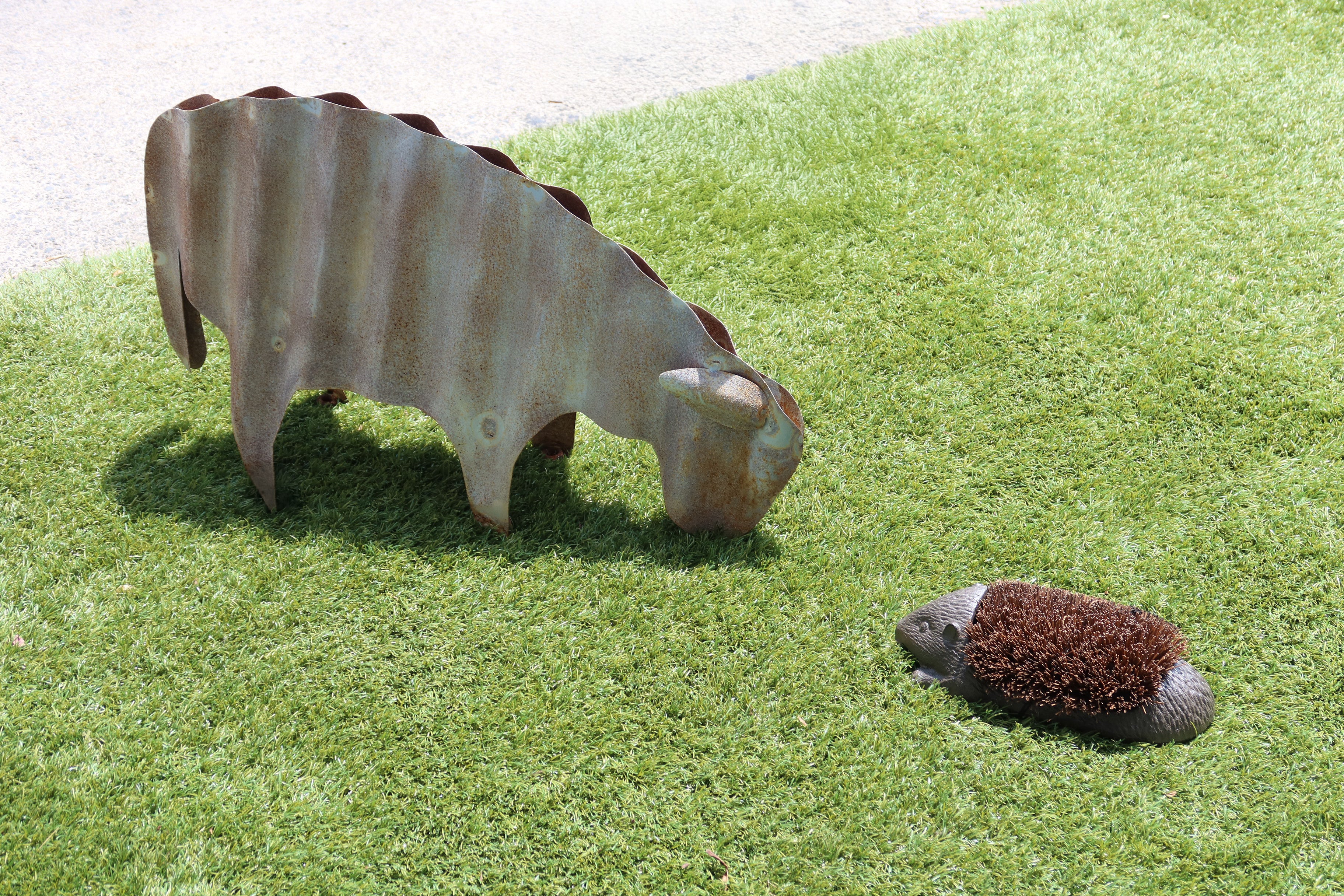 Boot Brush Echidna