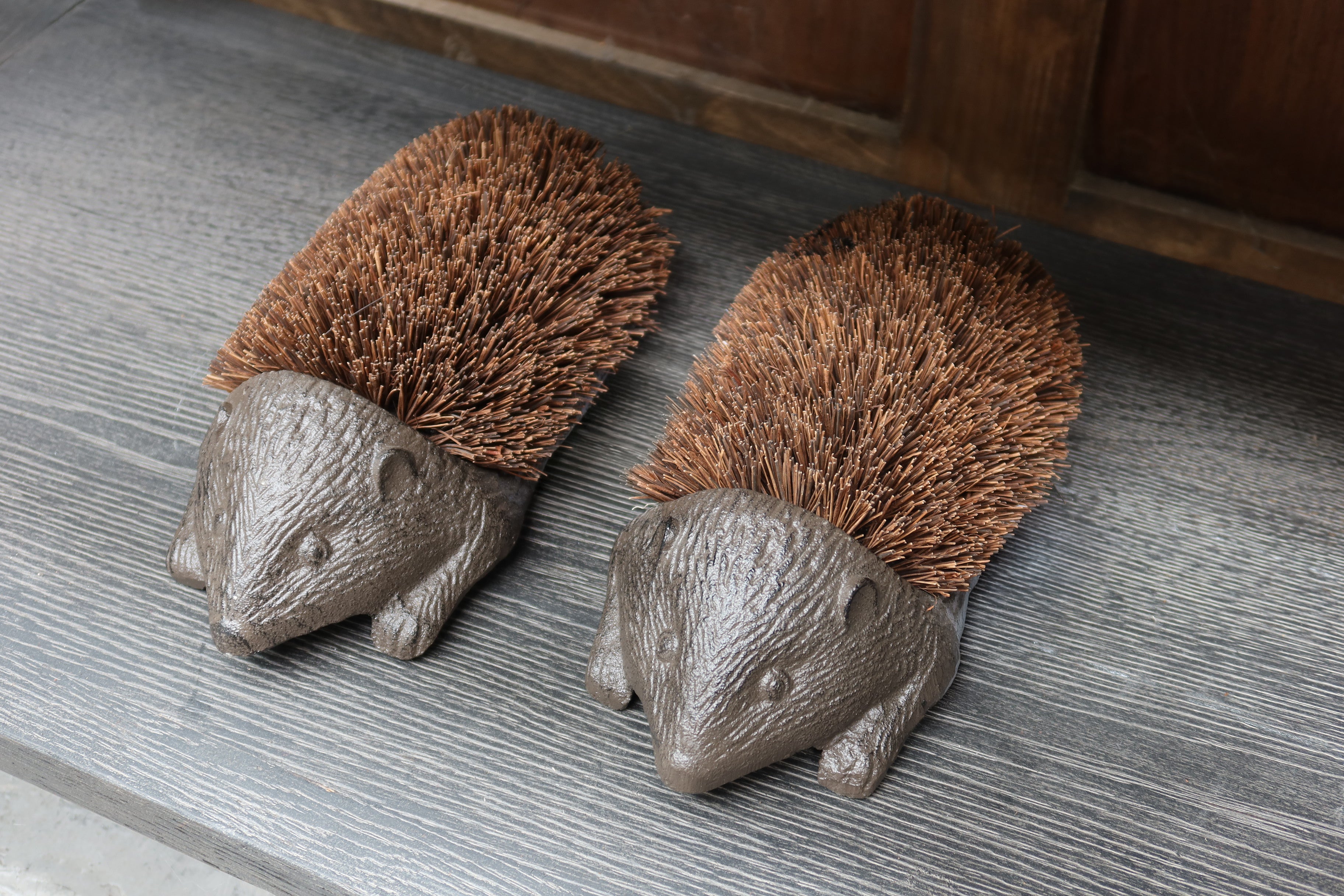 Boot Brush Echidna