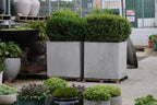 Square Terrazzo