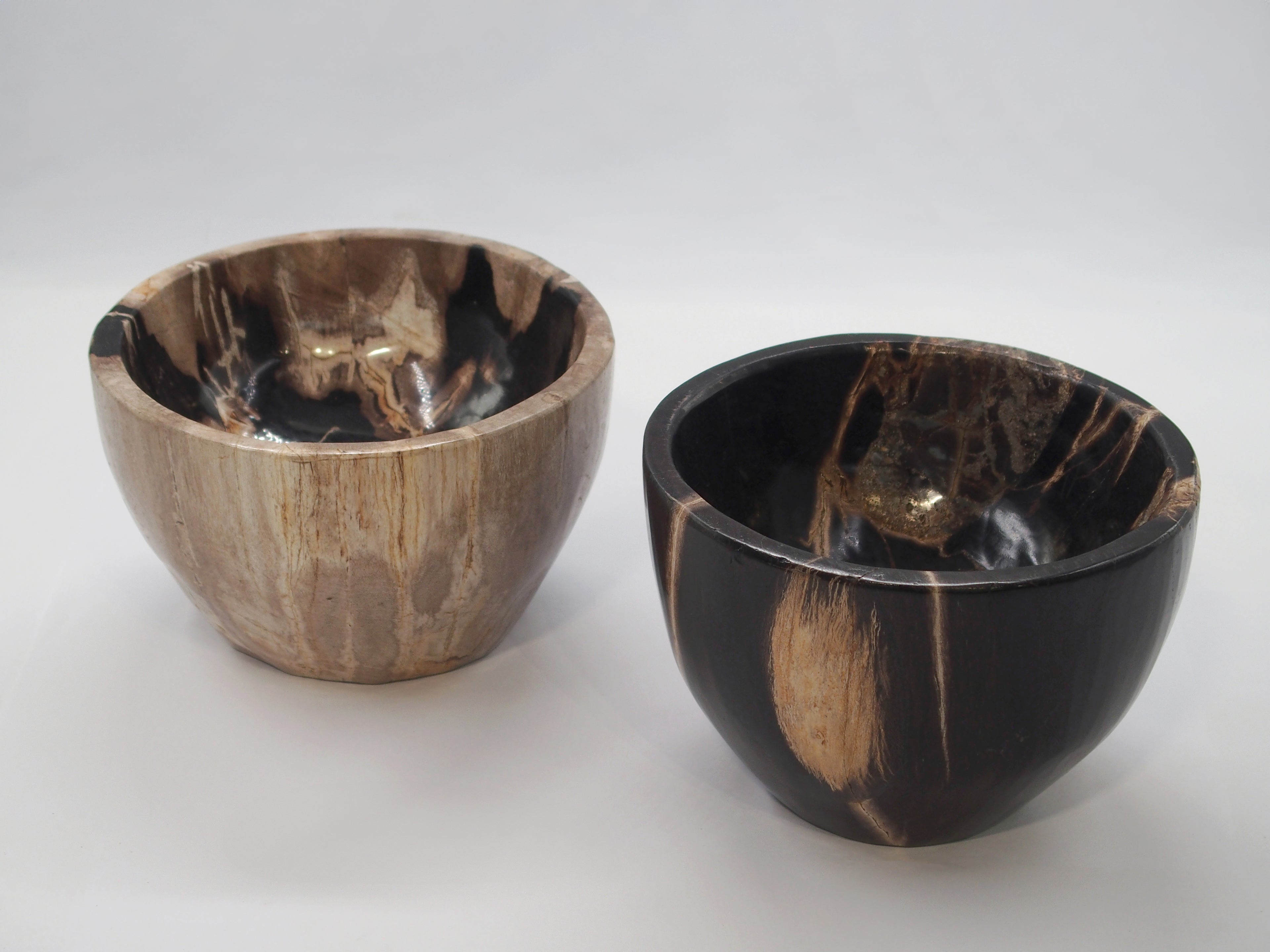 Petrified Wood Bowl