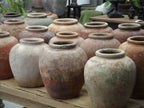 Pot Borneo Earthen