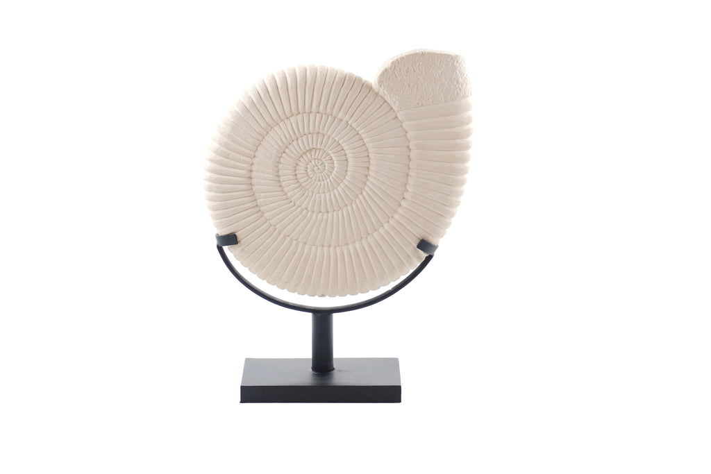 Ammonite White