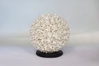 Lamp Shell Flower Design Ball