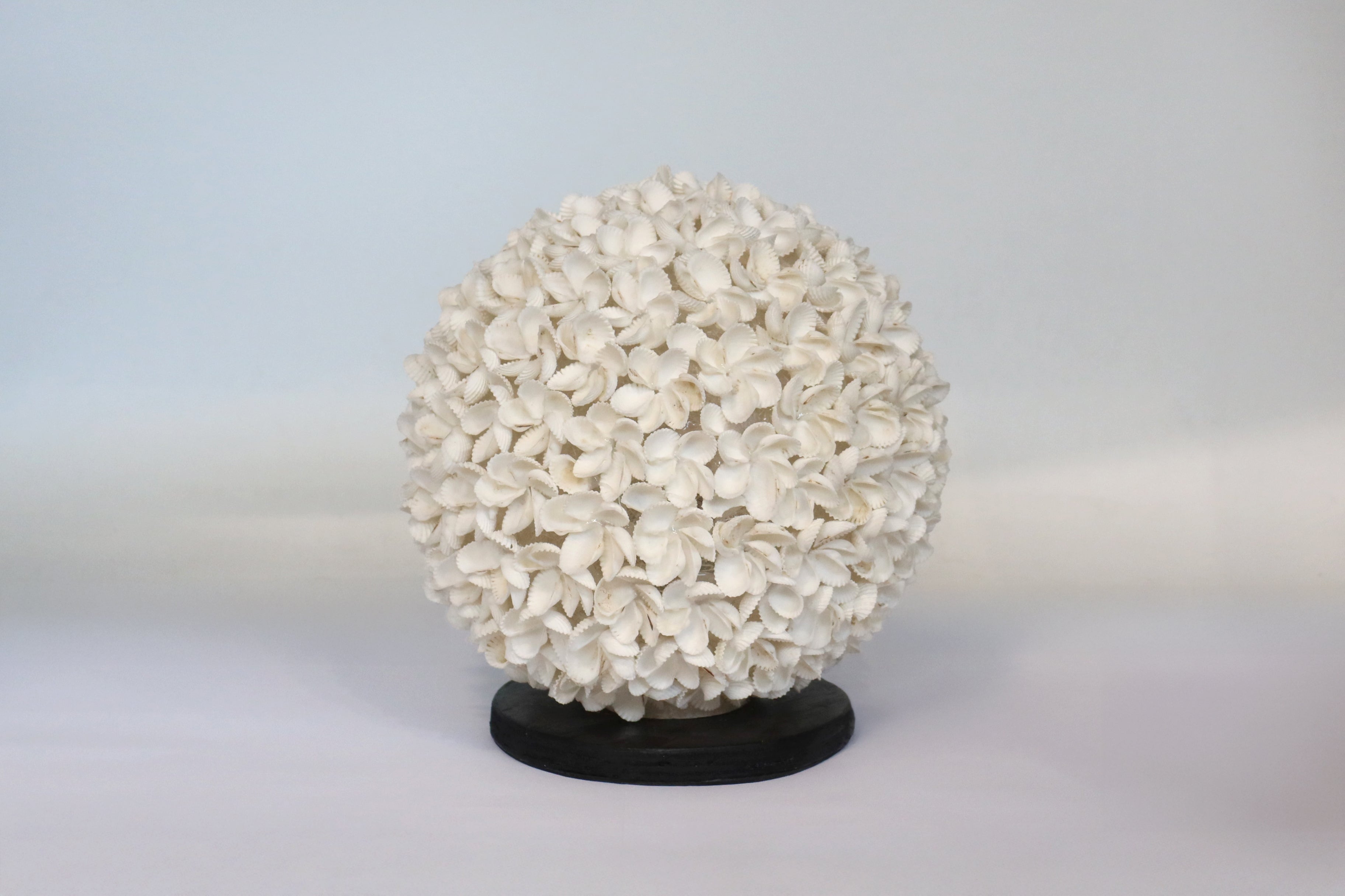 Lamp Shell Flower Design Ball