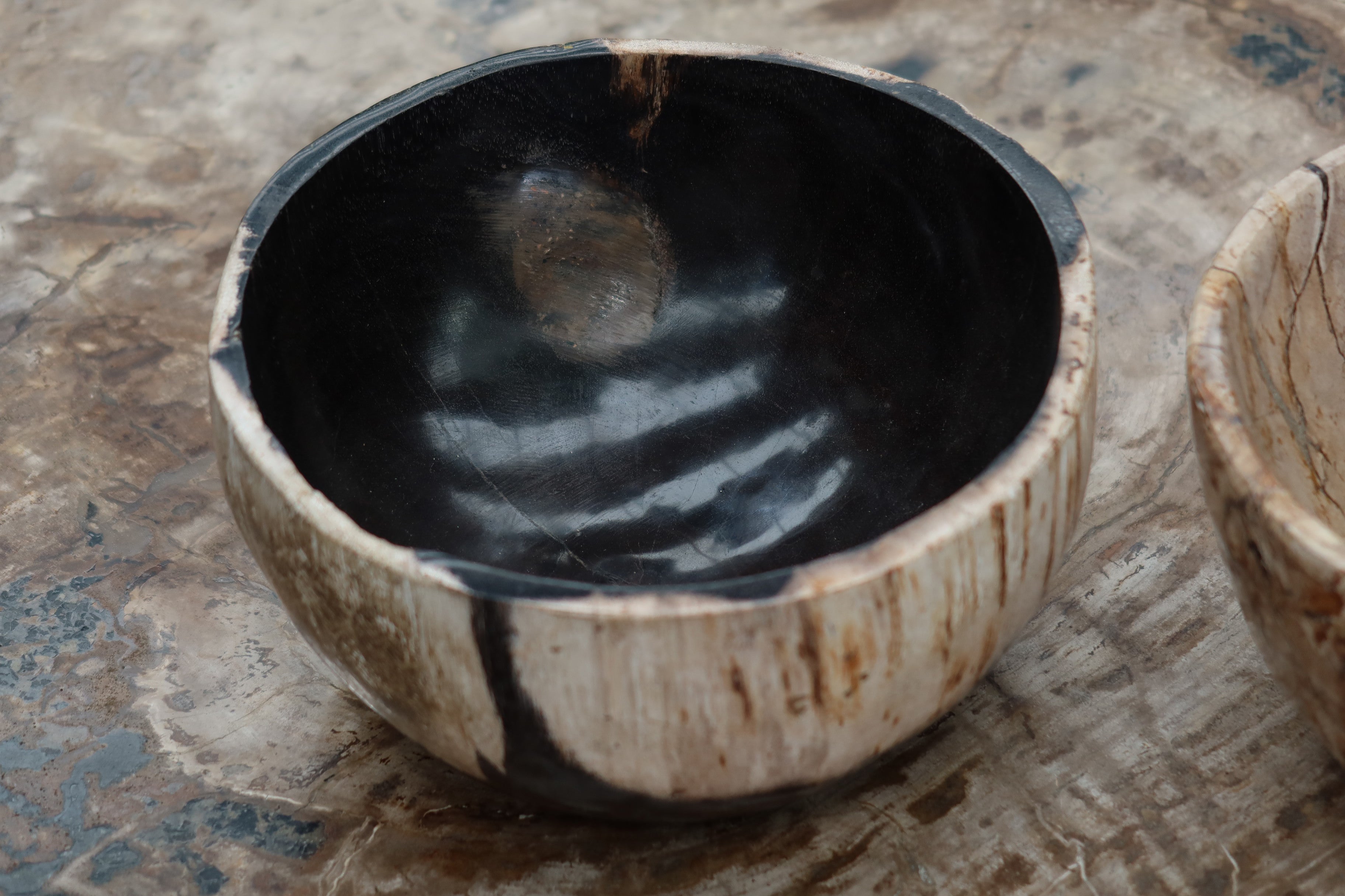 Petrified Wood Bowl