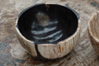 Petrified Wood Bowl