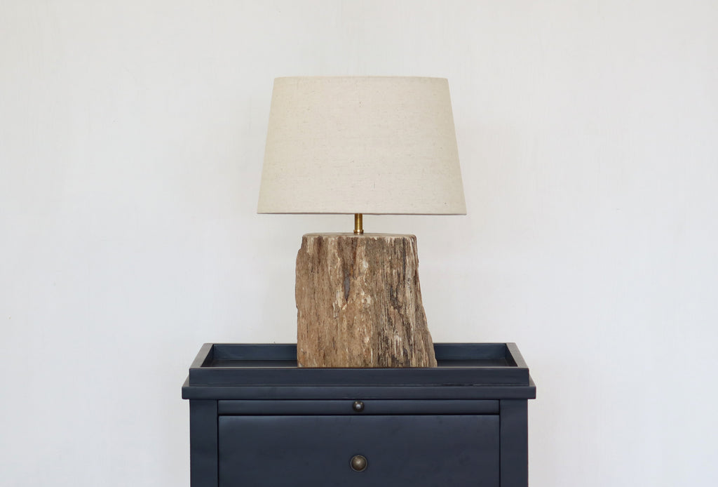 Petrified Wood Lamp Base & Shade