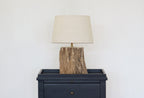 Petrified Wood Lamp Base & Shade