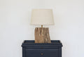 Petrified Wood Lamp Base & Shade
