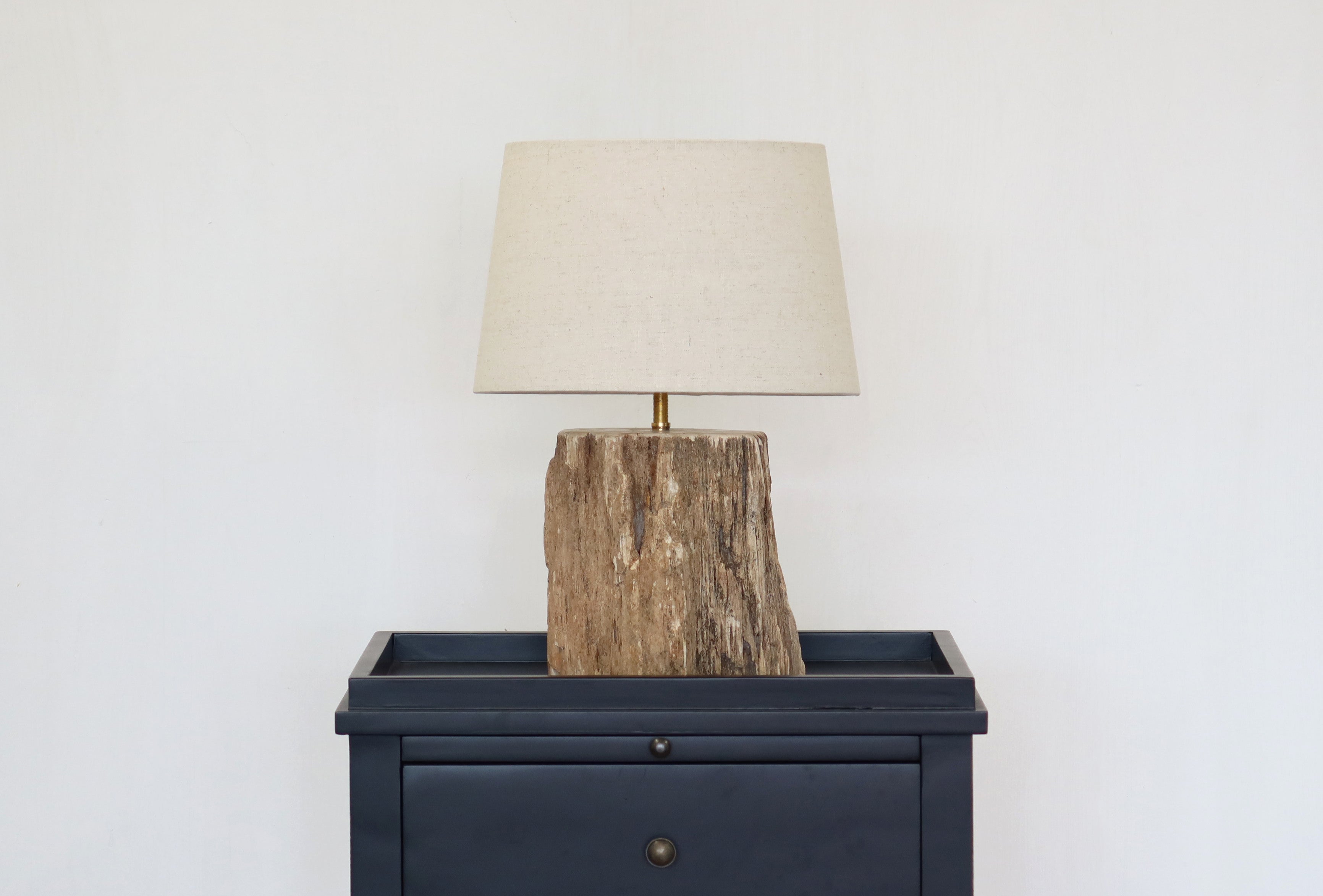 Petrified Wood Lamp Base & Shade