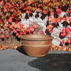 Pot Black Clay Flower