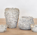 Barnacle Pot Small