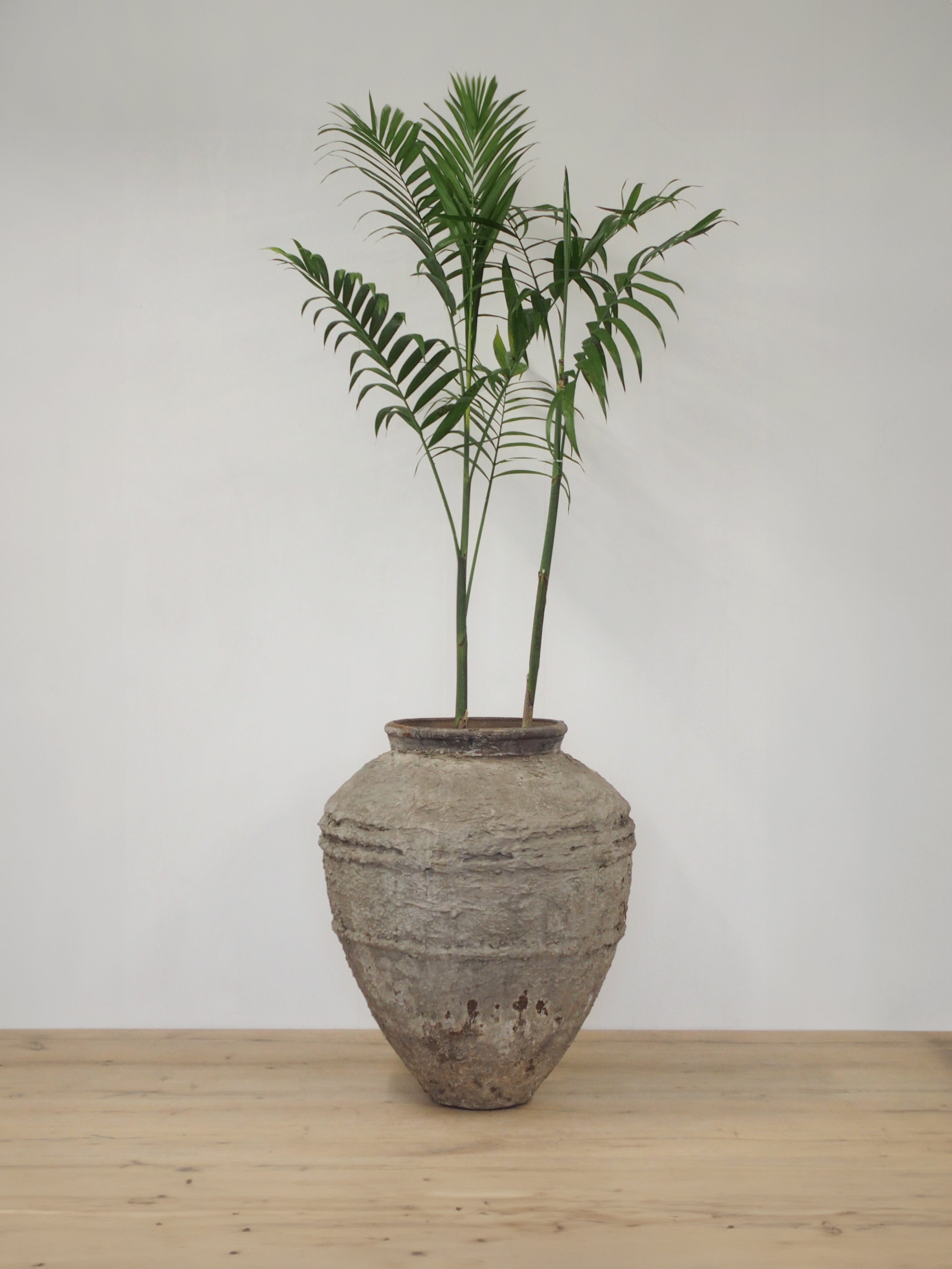 Pot JV Design Extra Large