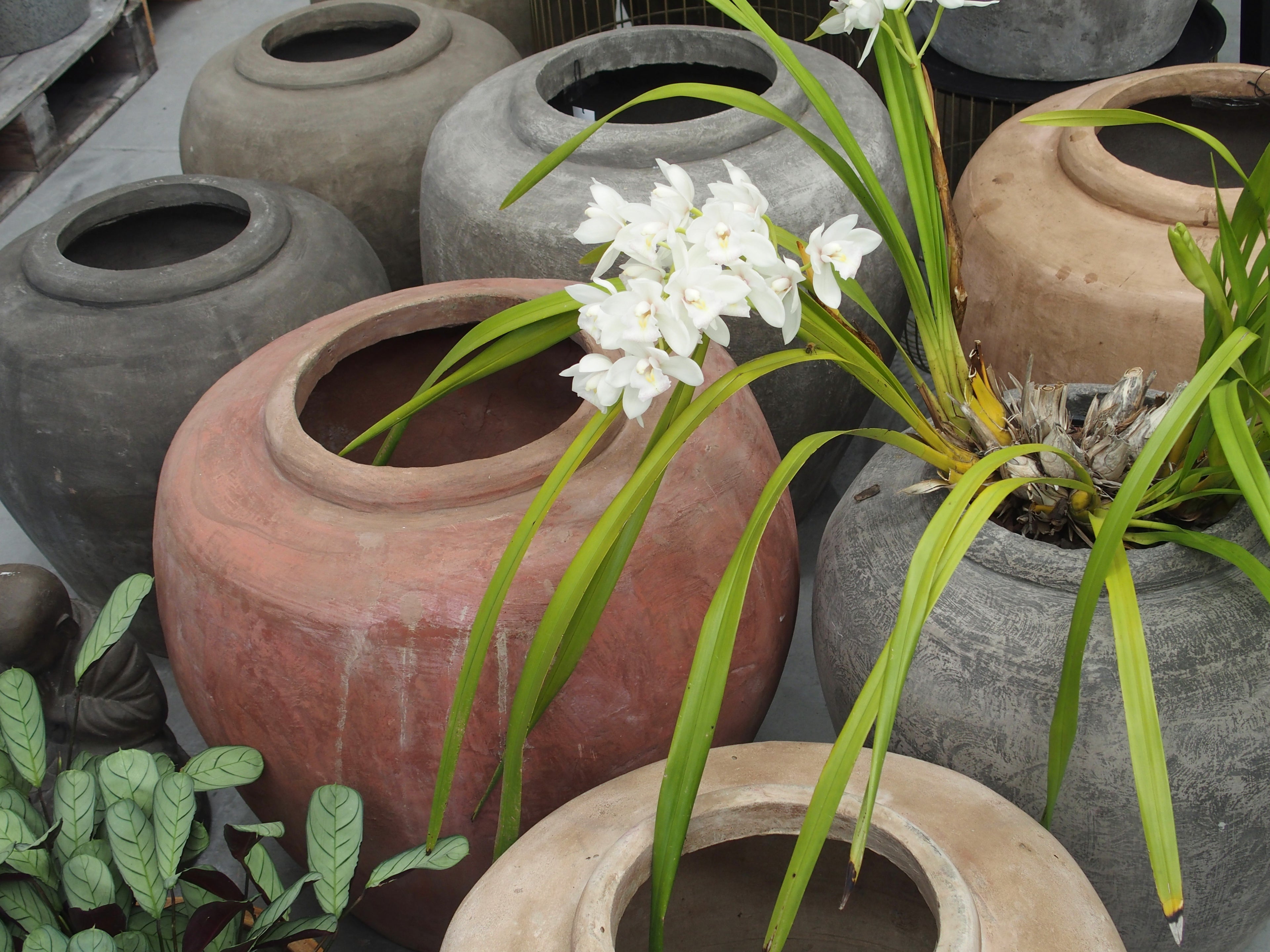Pot Earthen