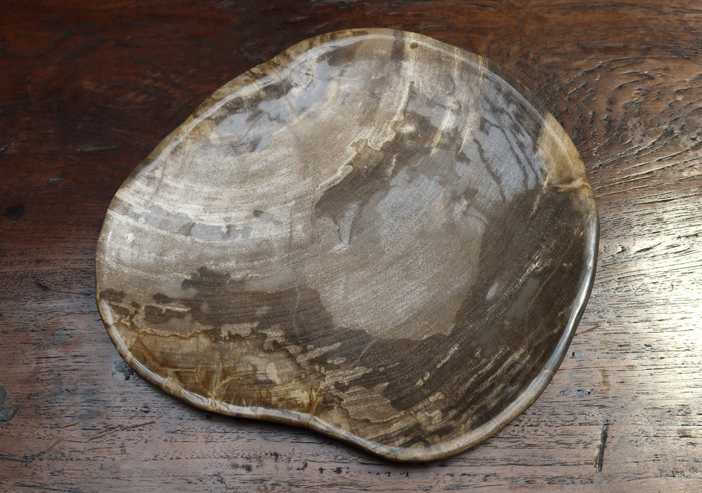 Petrified Wood Plate Medium