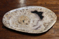 Petrified Wood Plate Medium