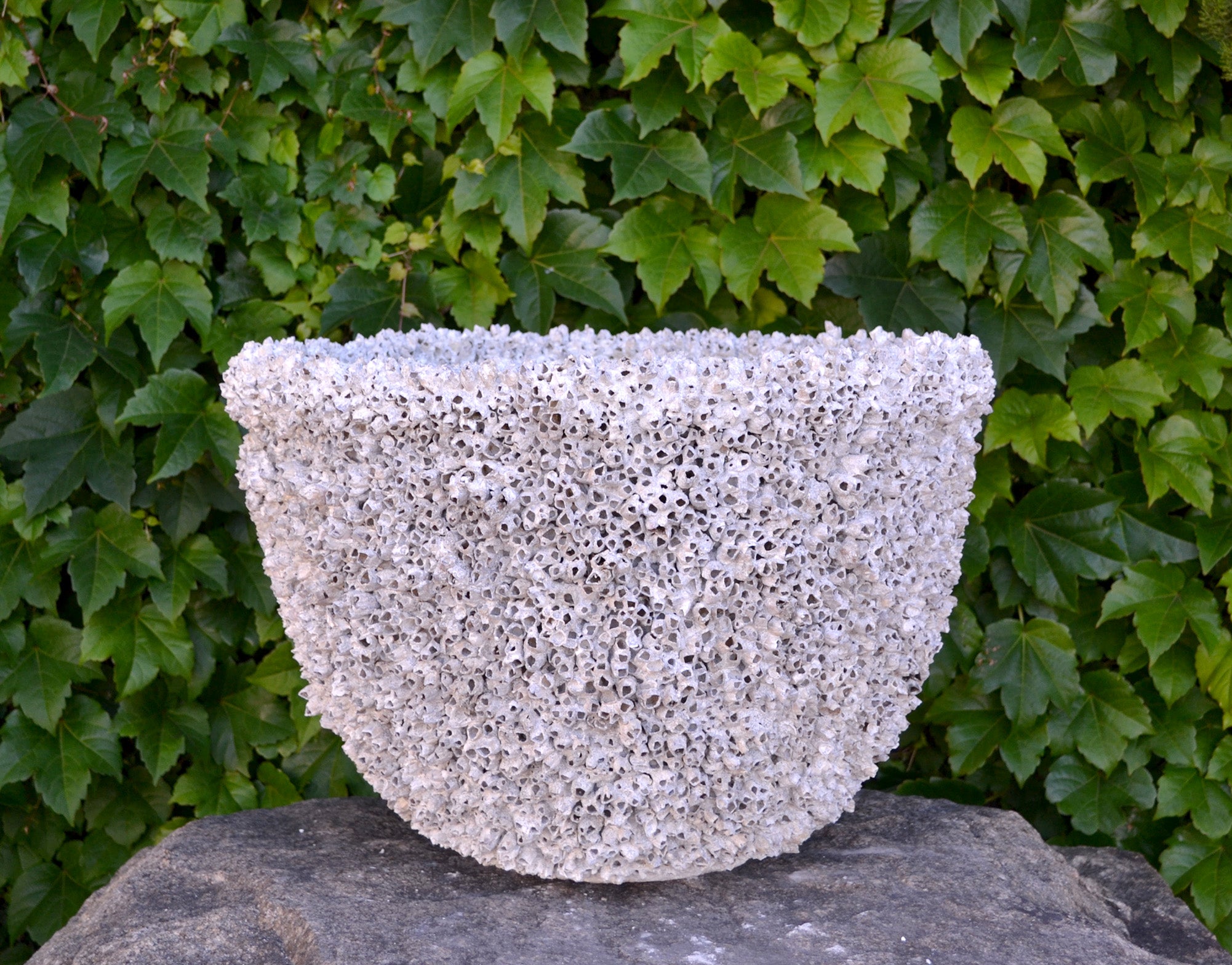Barnacle Pot Bowl Medium
