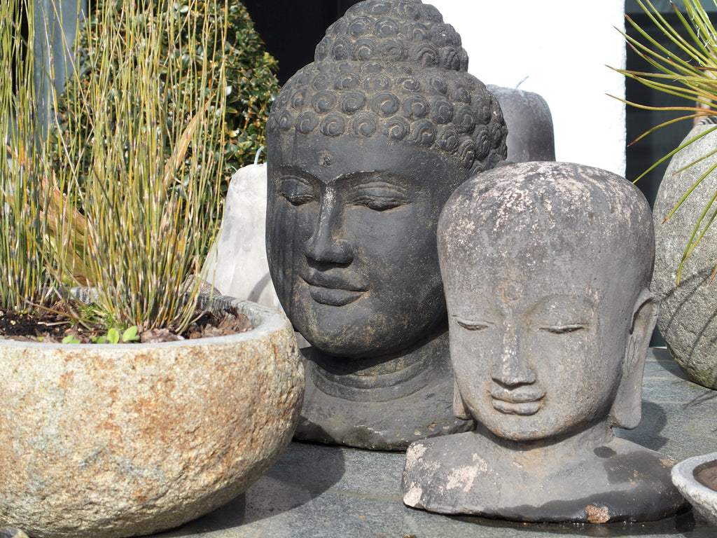Buddha Head
