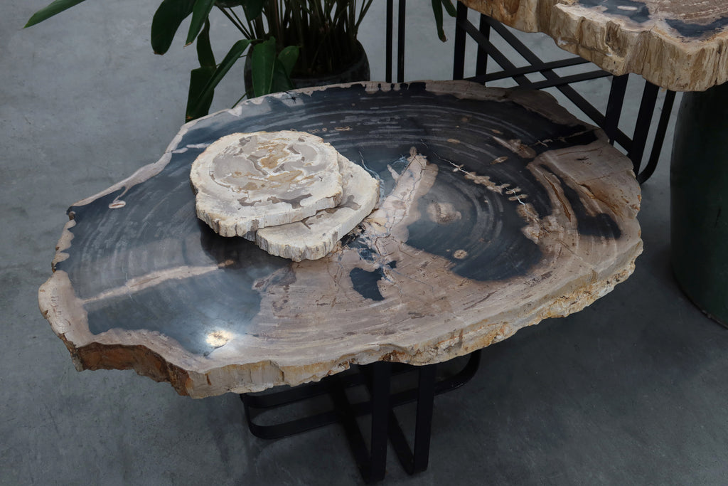Petrified Wood Table 1000mm