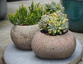 Organic Stone Cactus Pot Small