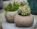 Organic Stone Cactus Pot Small