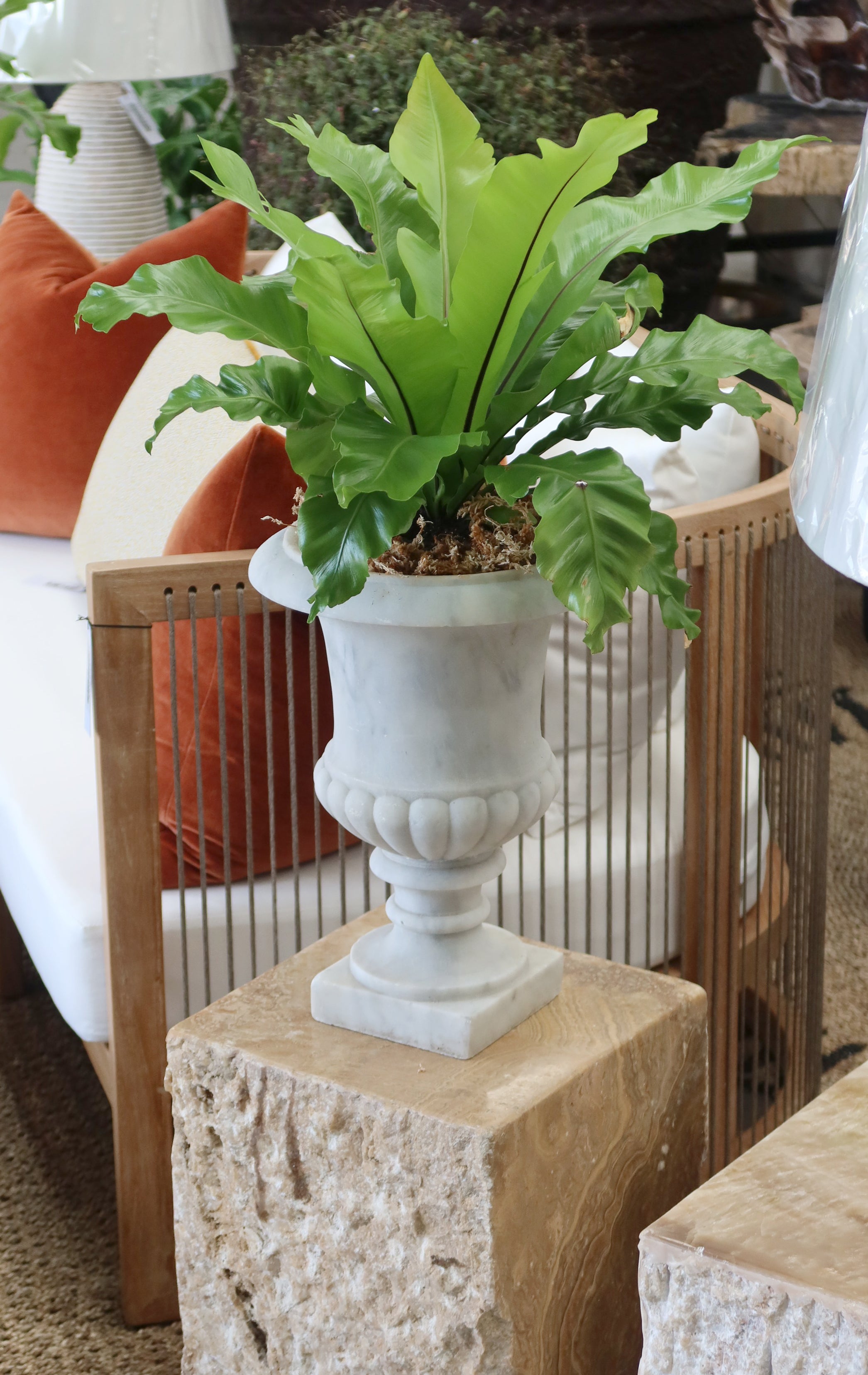 Carrara Marble Urn