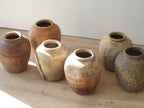 Pot Borneo Earthen
