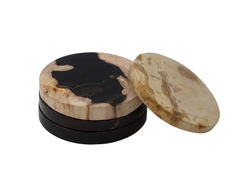 Petrified Wood Coaster