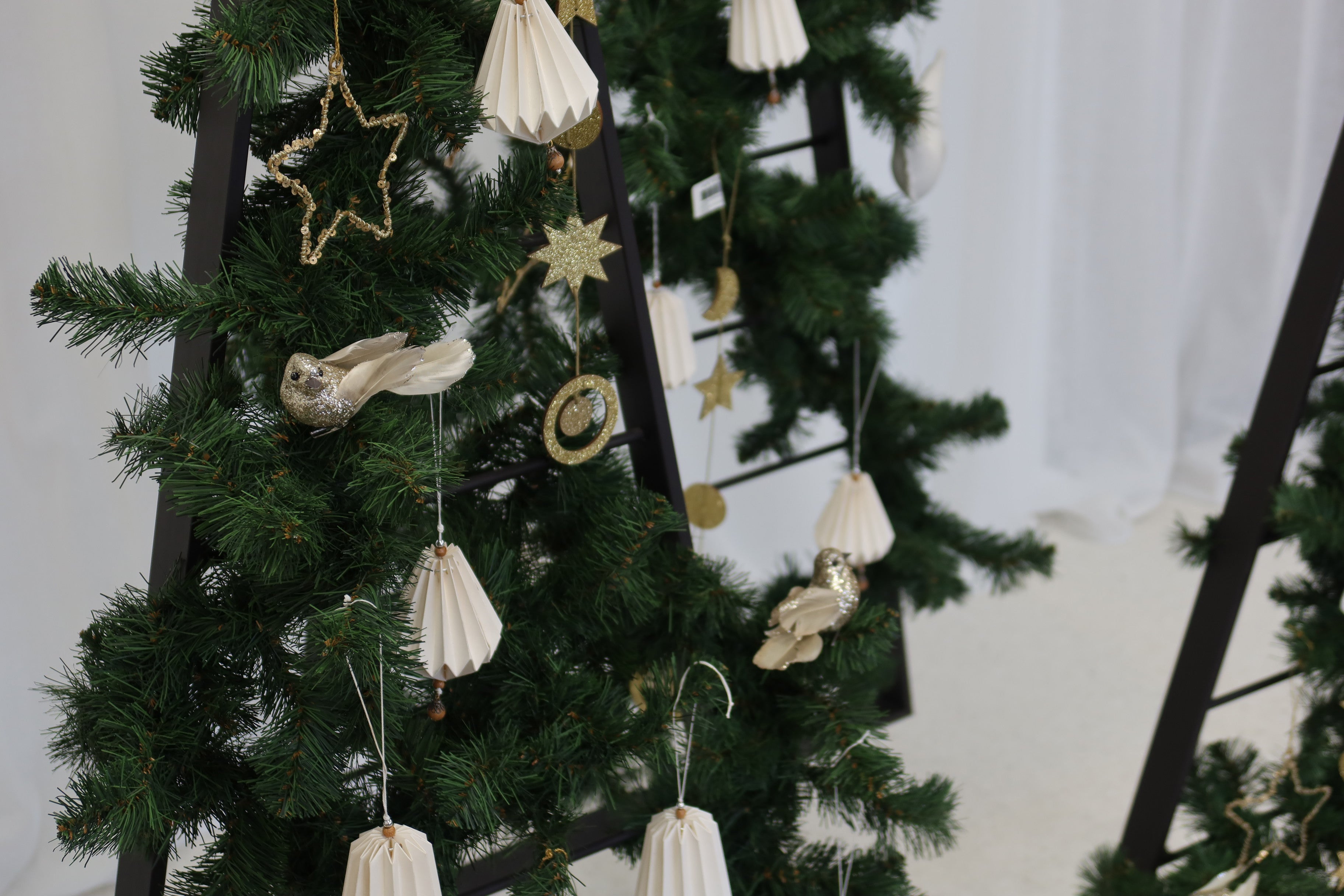 Nicholas Xmas Tree