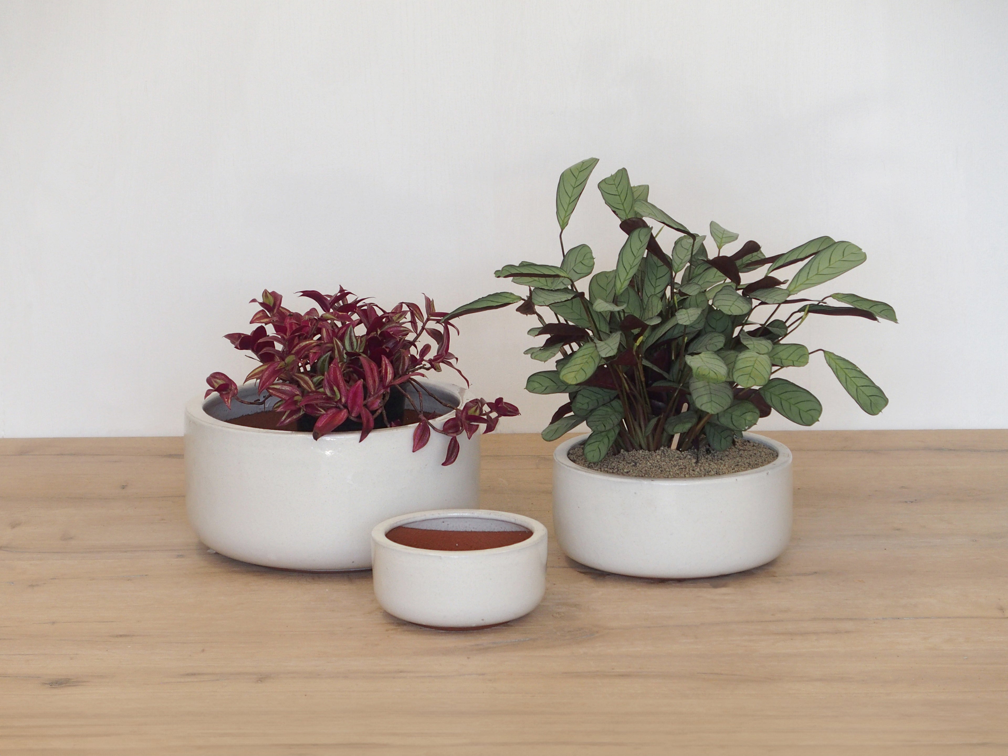 Pot Flat Bowl White