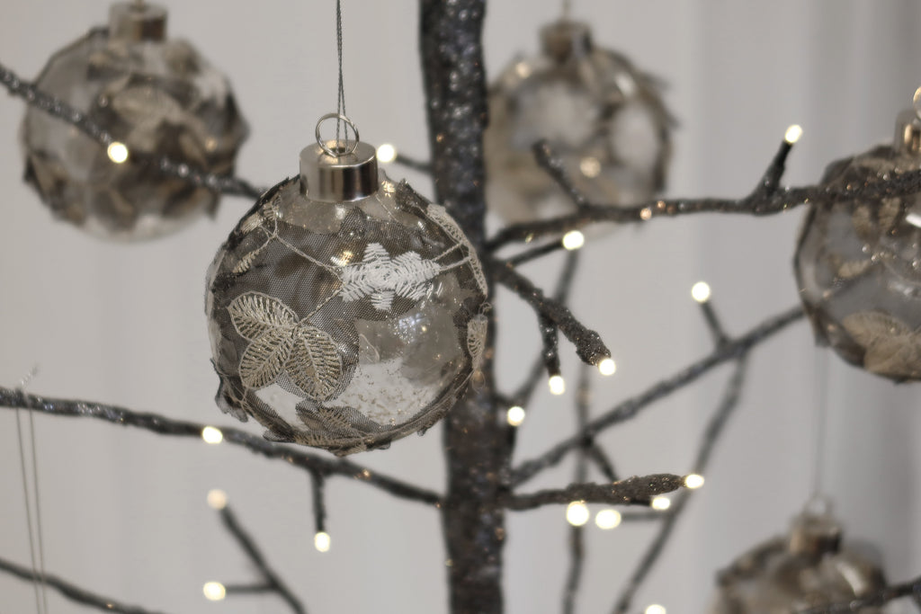 Gunmetal Tree Spruce