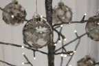 Gunmetal Tree Spruce