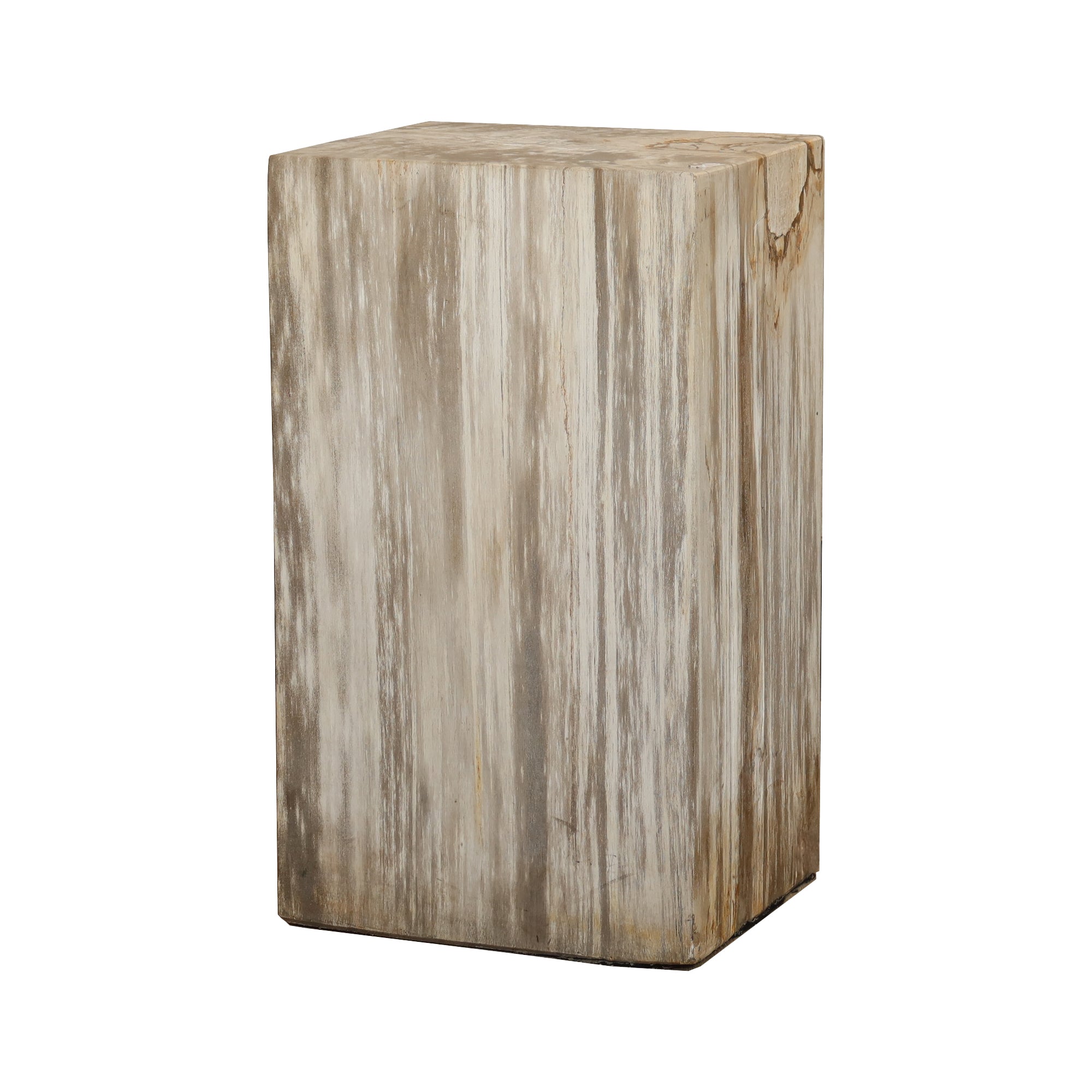 Petrified Wood Solid Pedestal
