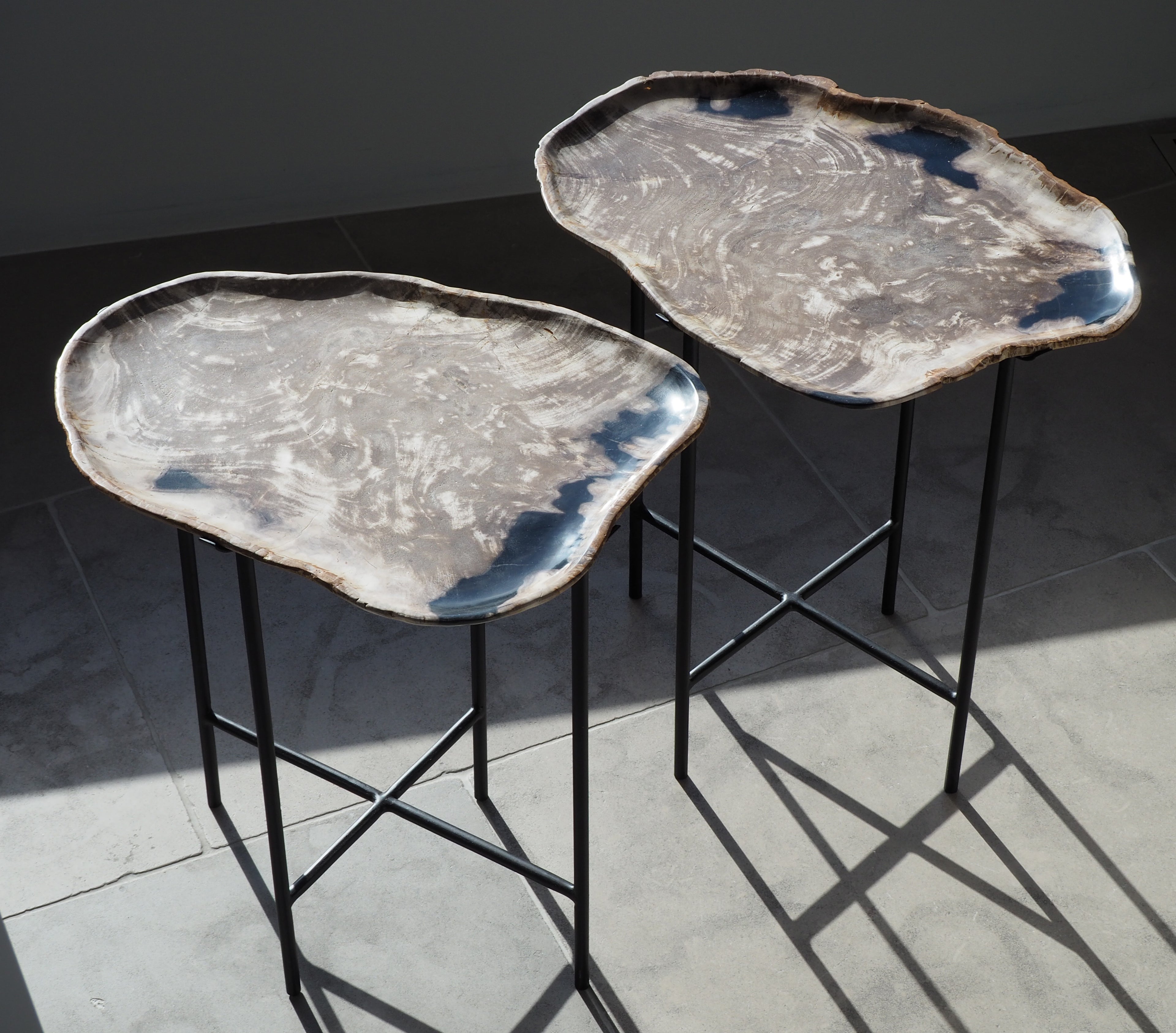 Petrified Wood Side Table on Iron Base