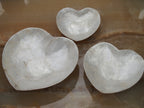 Shell Hearts